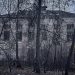 Edificio de un colegio abandonado entre árboles sin hojas
